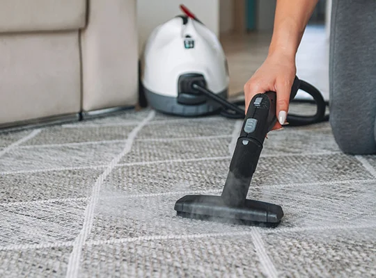 Carpet Cleaning Services in Windermere