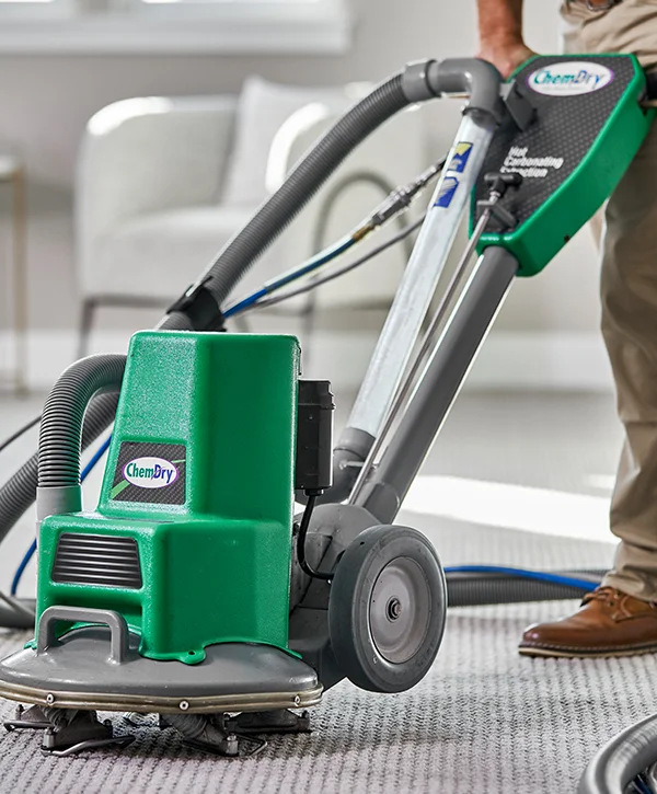 Florida’s Best Carpet Cleaning Services